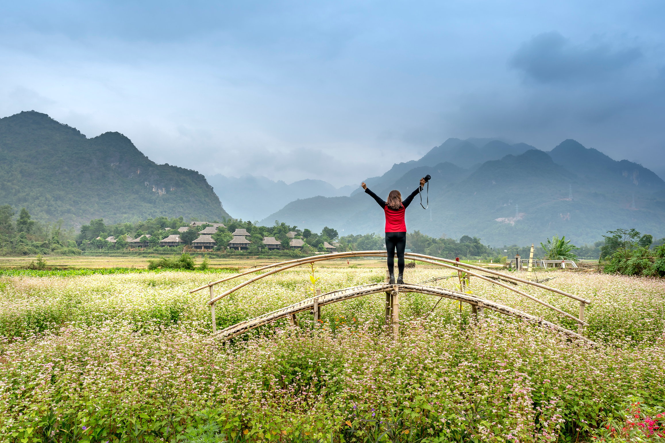 Person Standing on Wooden Bridge